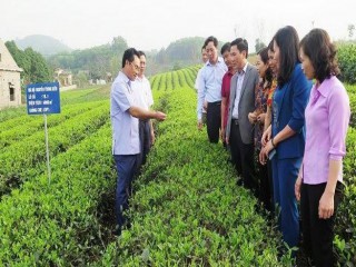 Thái Nguyên: Đặc biệt quan tâm đến xây dựng chuẩn nông thôn mới
